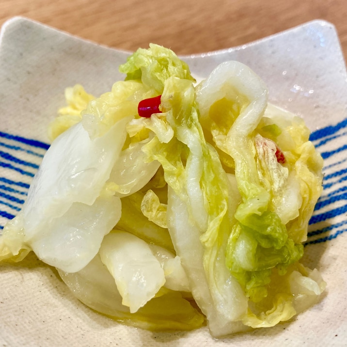 シンプル！粉末昆布だし白菜の漬け物